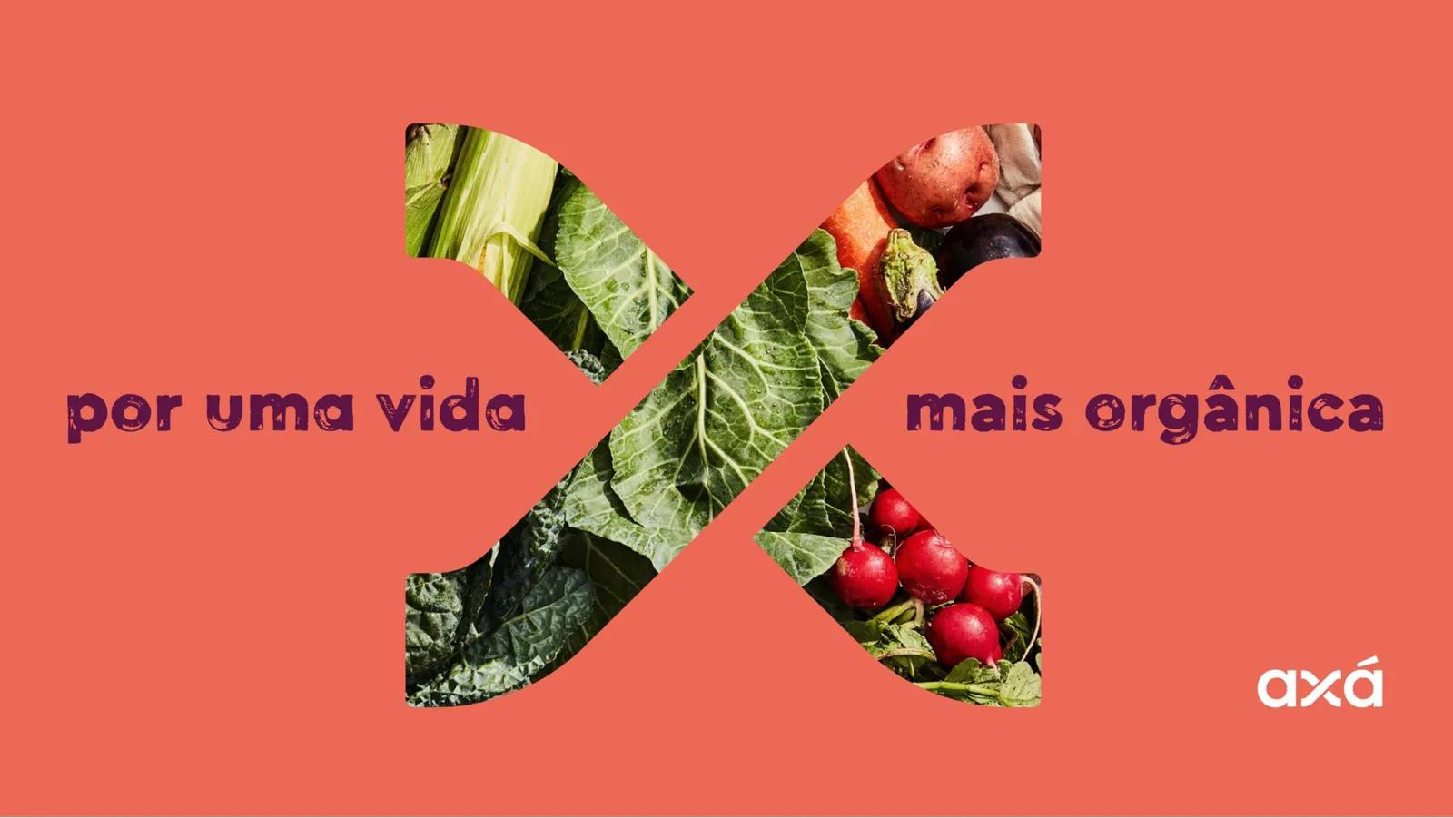Aplicação da marca Axá Orgânicos (imagem 1 de 10)